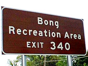 Bong